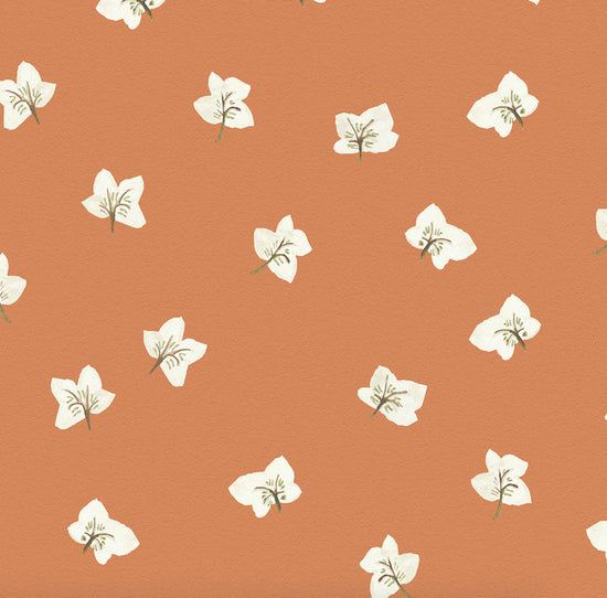 All Year Hellebores Wallpaper – SIENNA