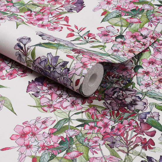 Mixed Phlox Rows Wallpaper