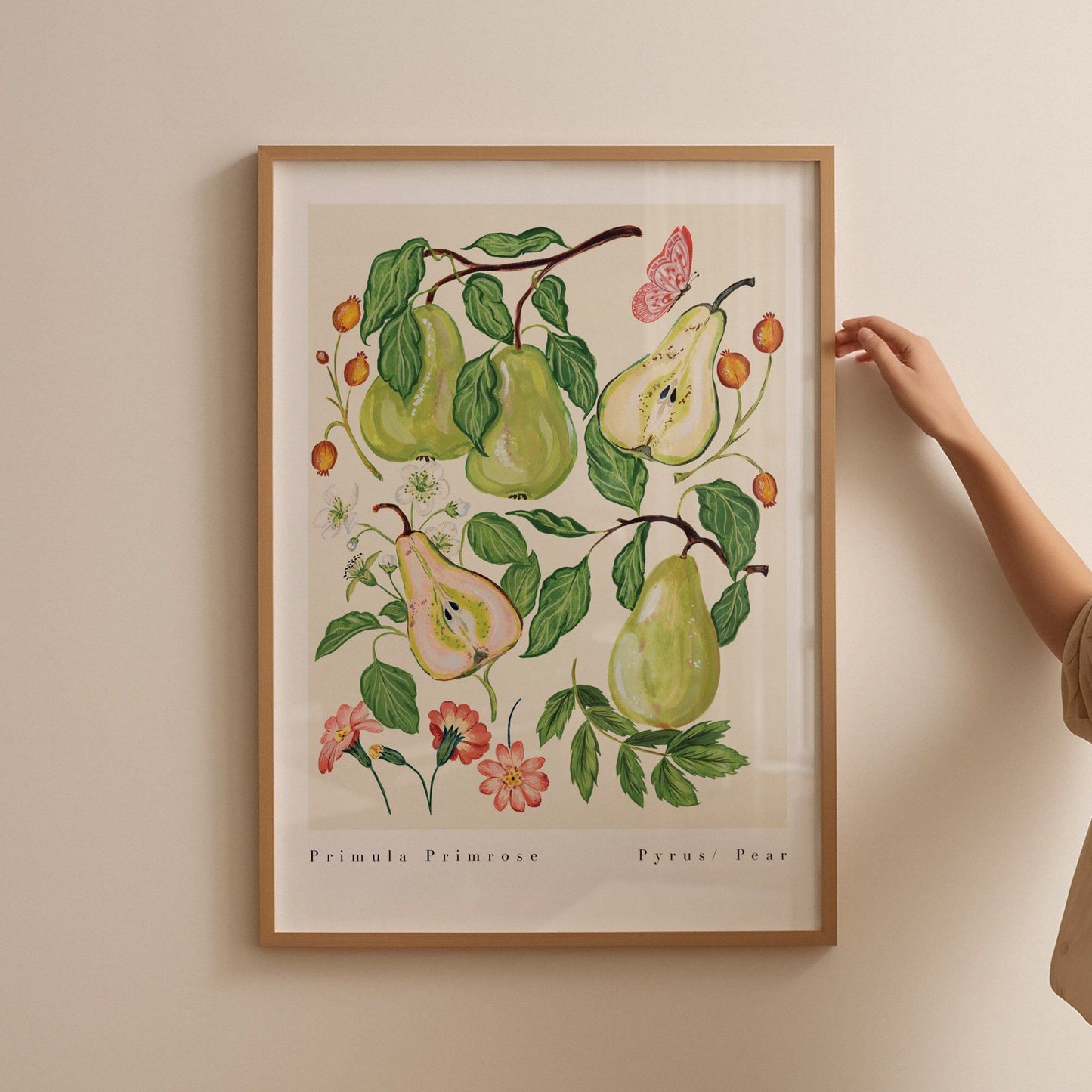 Primula Primrose Pear Art Print