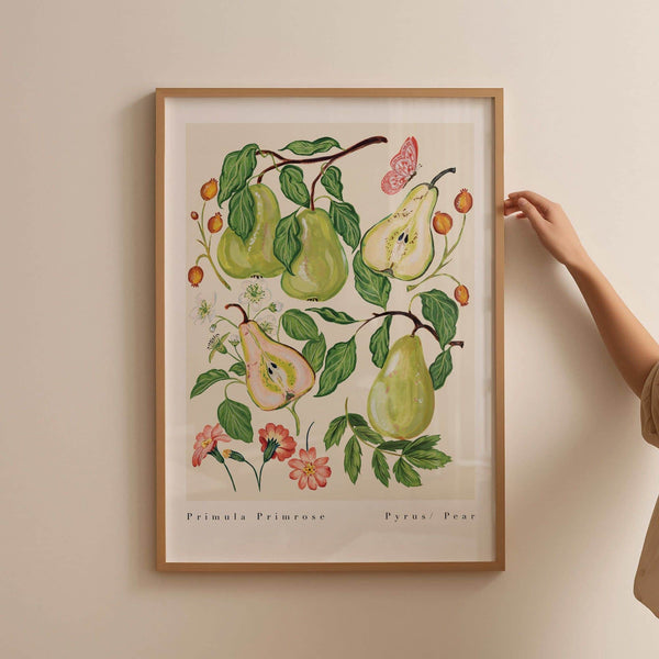 Primula Primrose Pear Art Print-