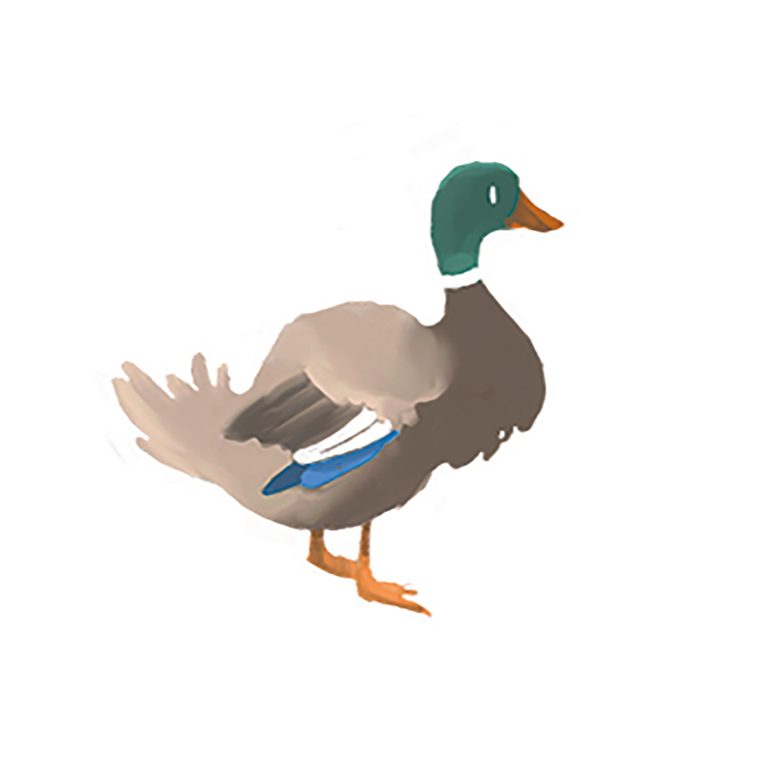 Ducks In A Row Wallpaper – CLASSIC