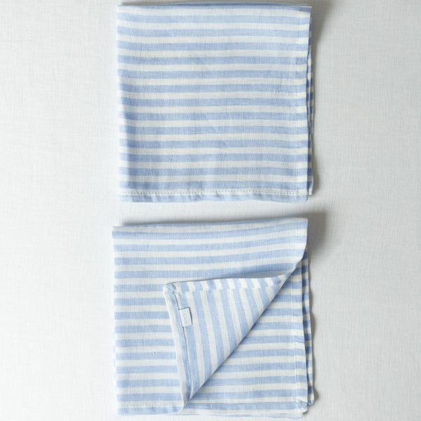 Blue Stripes Napkins (Set of 2)