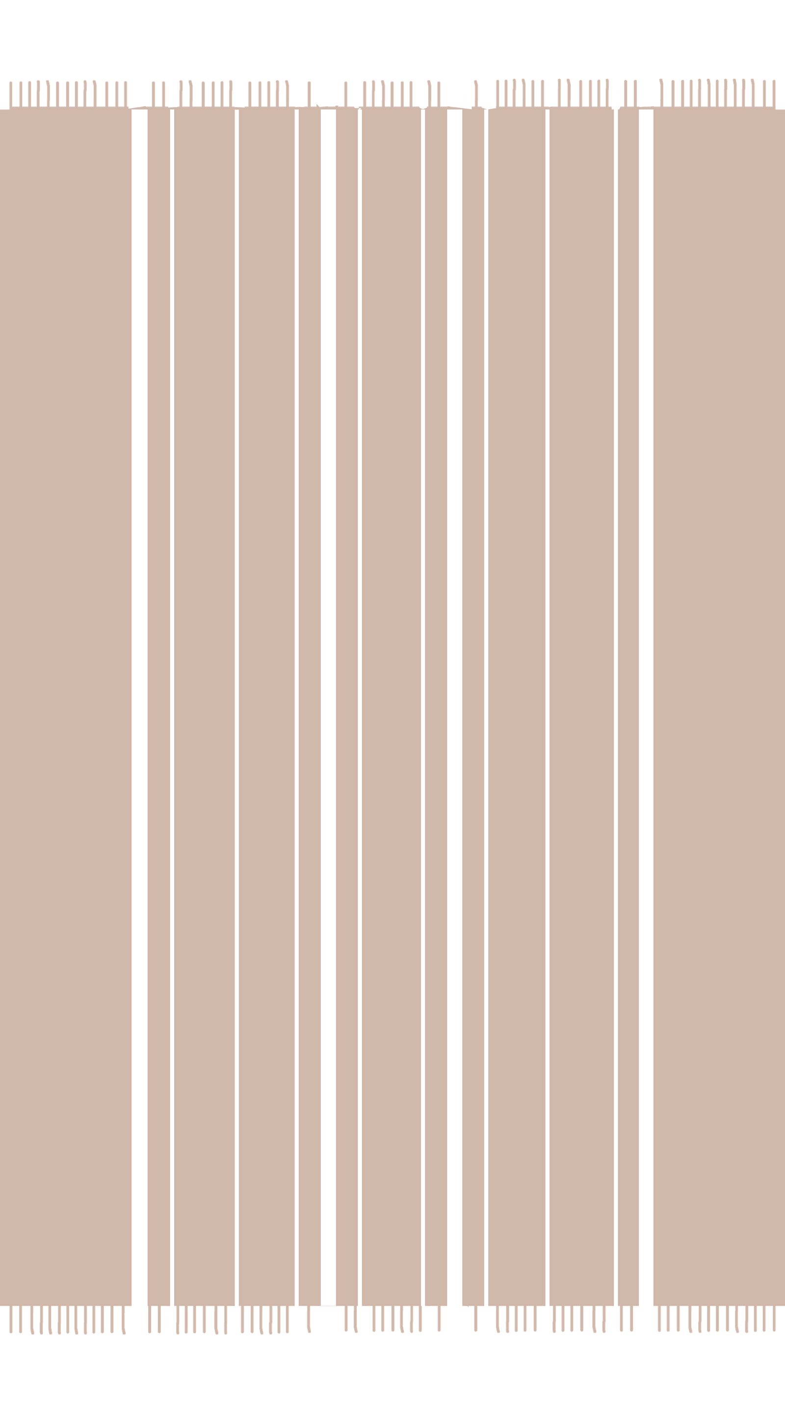 Pashmina Throw – 48x76 in