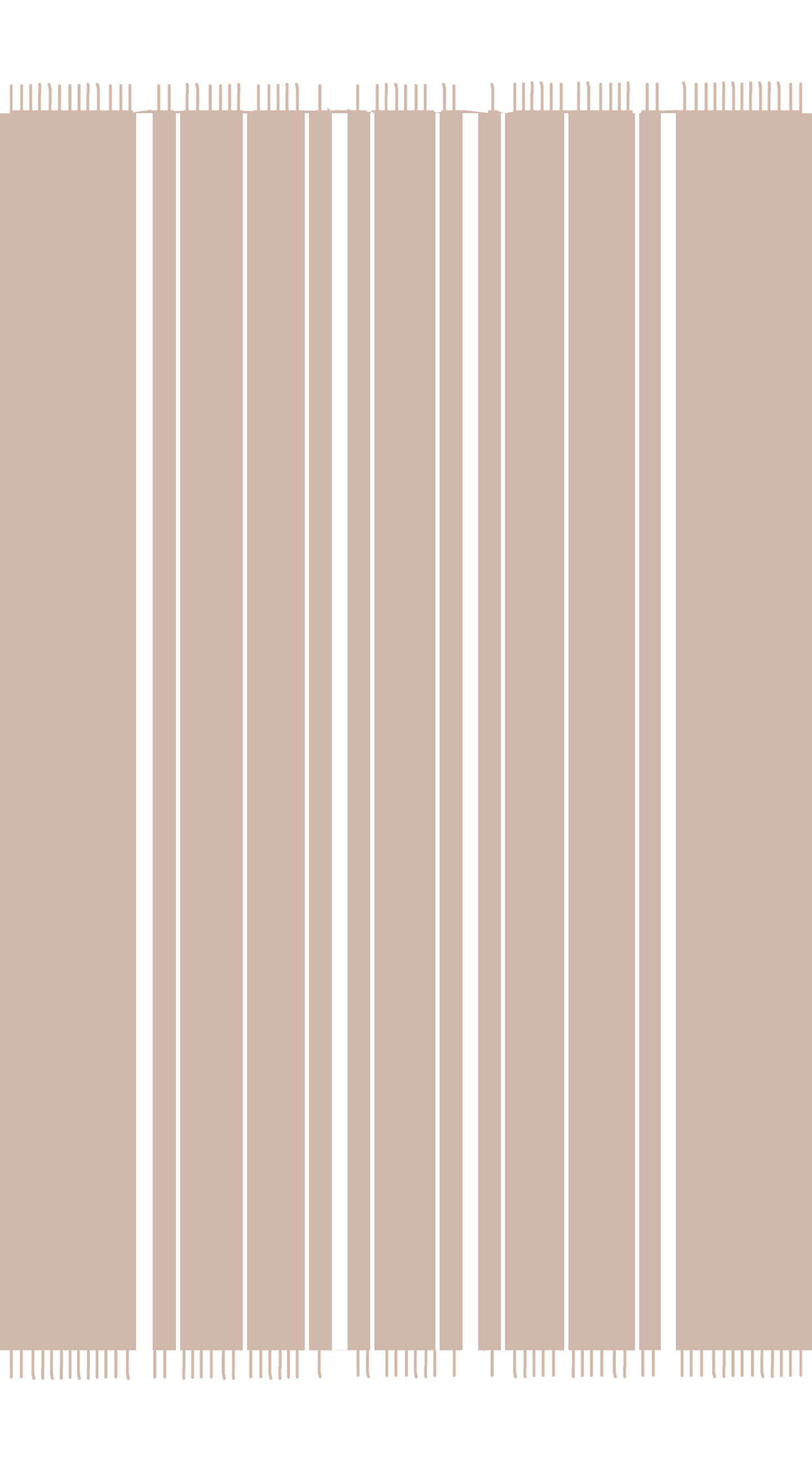 Pashmina Throw – 48x76 in