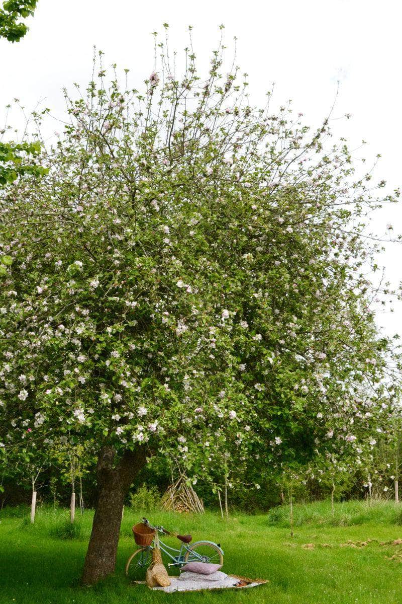 Picnic Blanket Made With Liberty Fabric Betsy Grey & Capel Mustard
