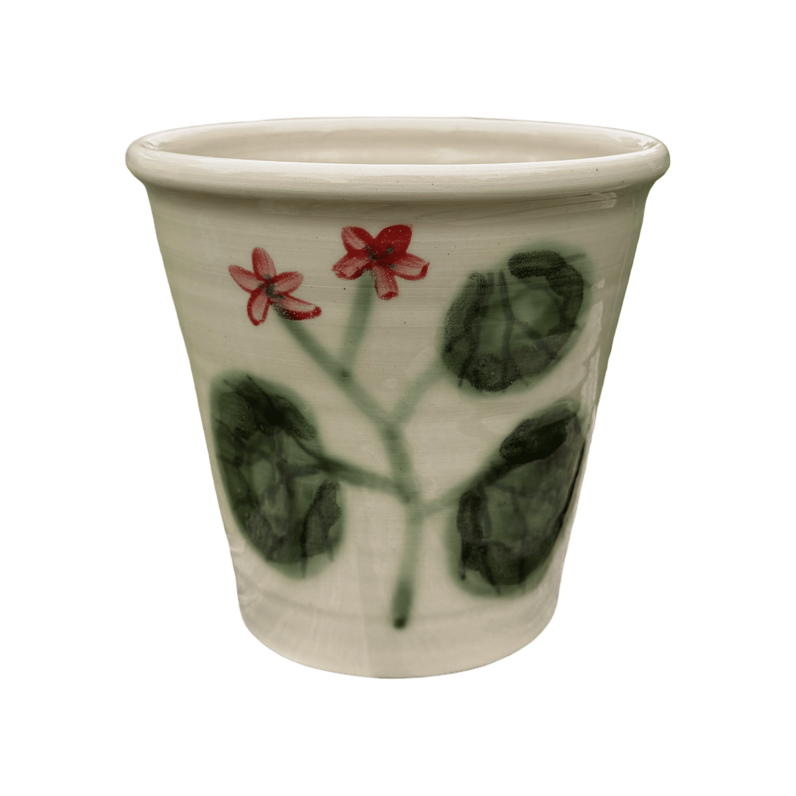 Pelargonium Large Pot - #15