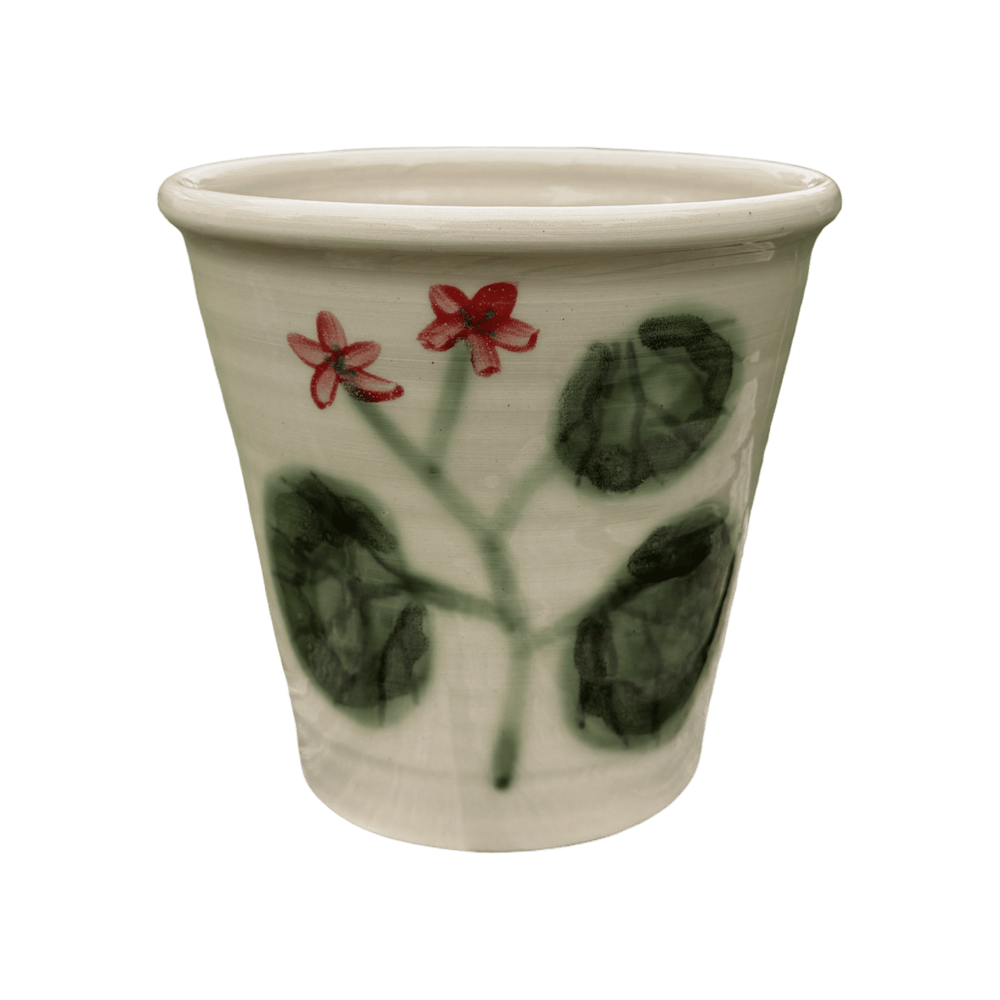 Pelargonium Large Pot - #15