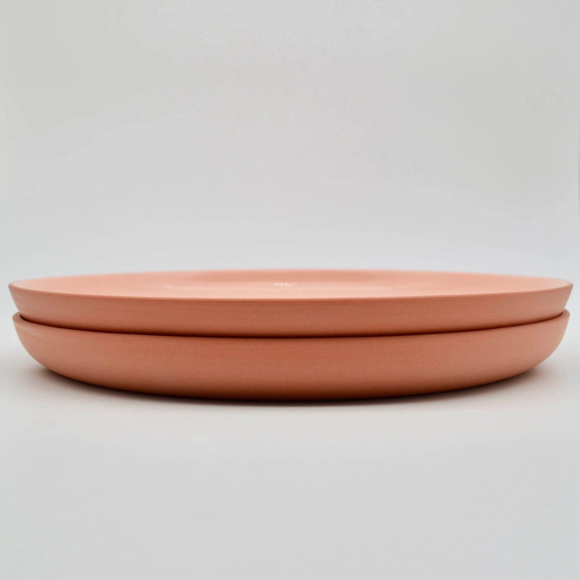 Dinner Plate Earthy Tone