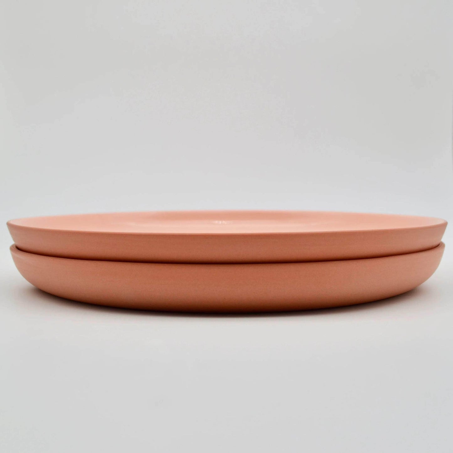Dinner Plate Earthy Tone