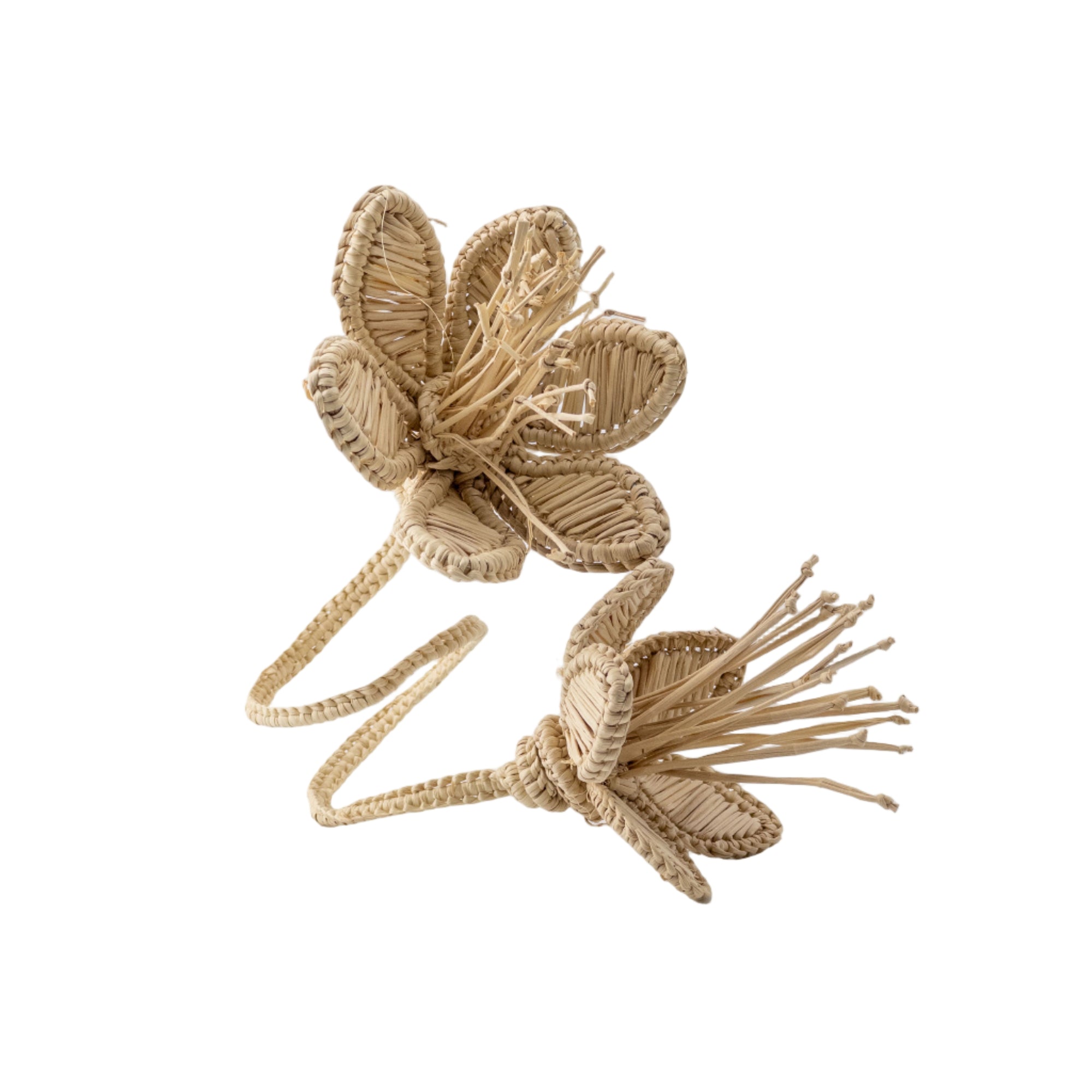 Florencia Napkin Ring Natural