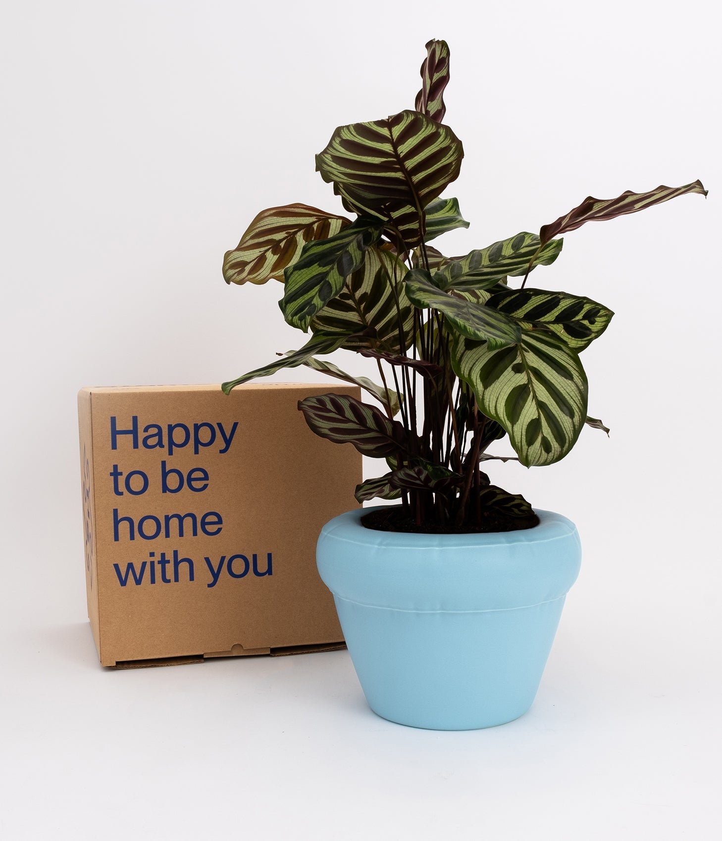 Planter 'PIERRE' Sky