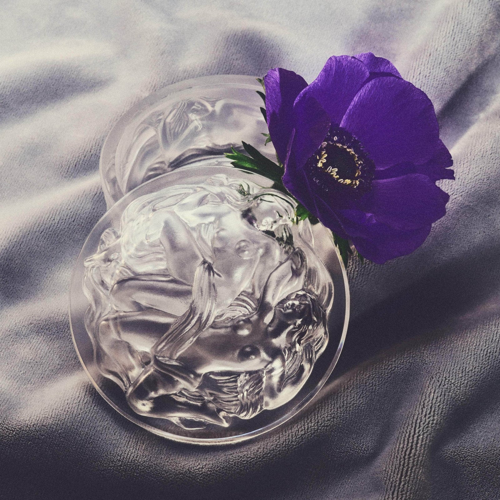 Michael Bonbonnière Clear