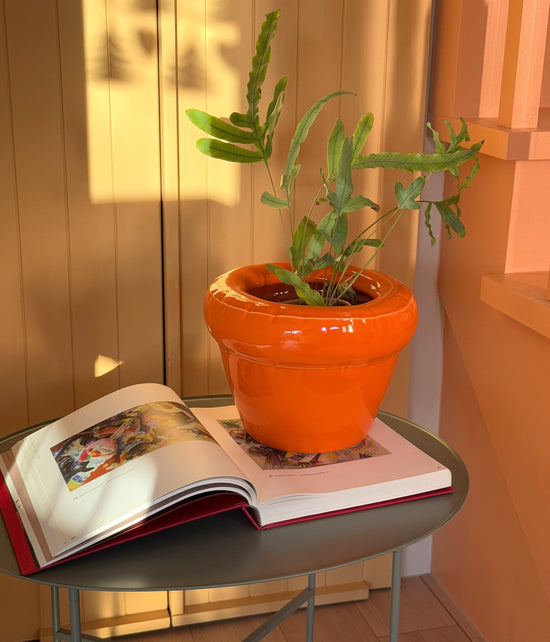 Planter 'PIERRE' Carrot Gloss