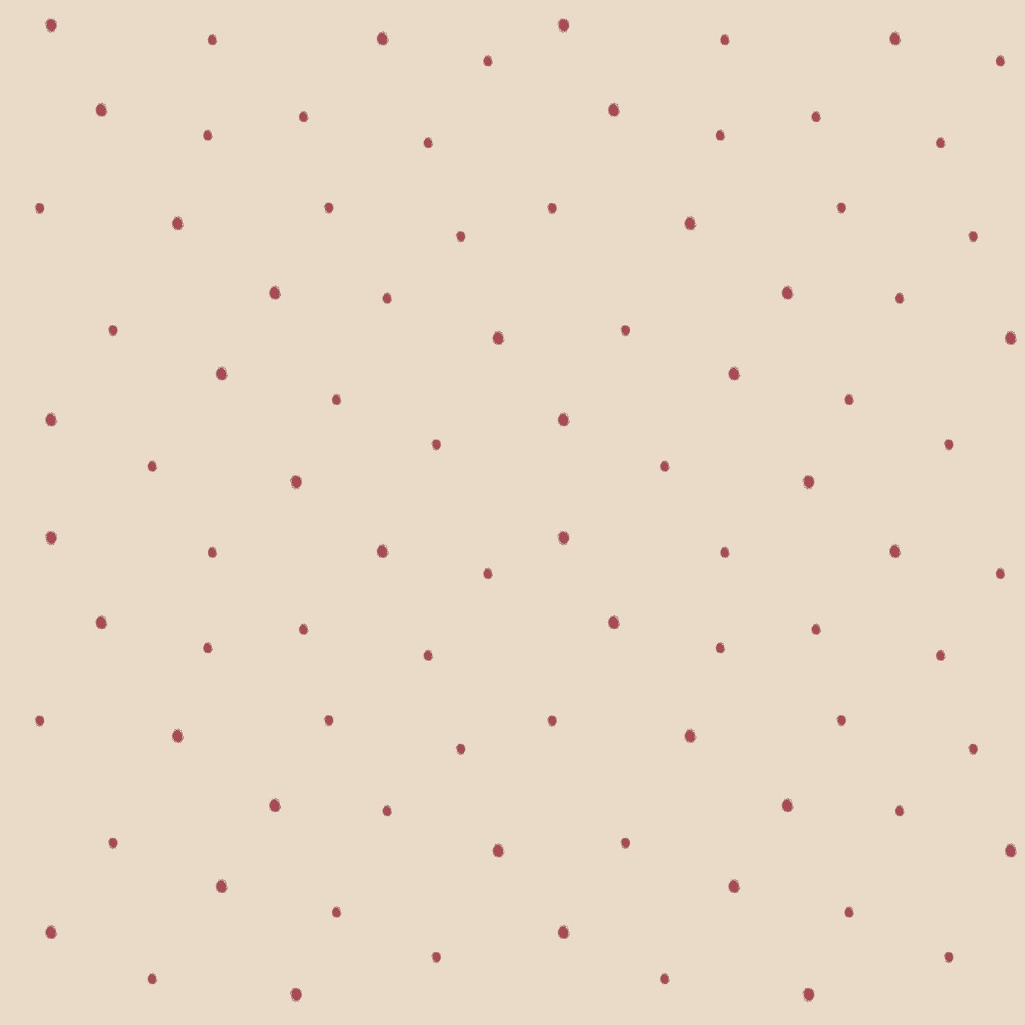 Dolce Daisies Wallpaper, Pavlova, Roll