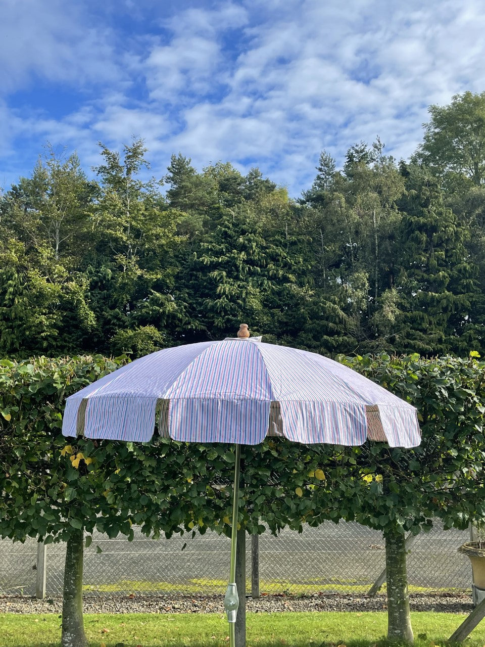 Parasol - Candy Stripe