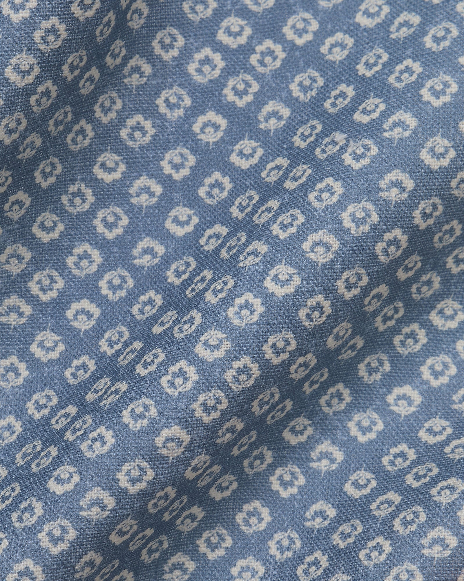 Florina in Cornflower