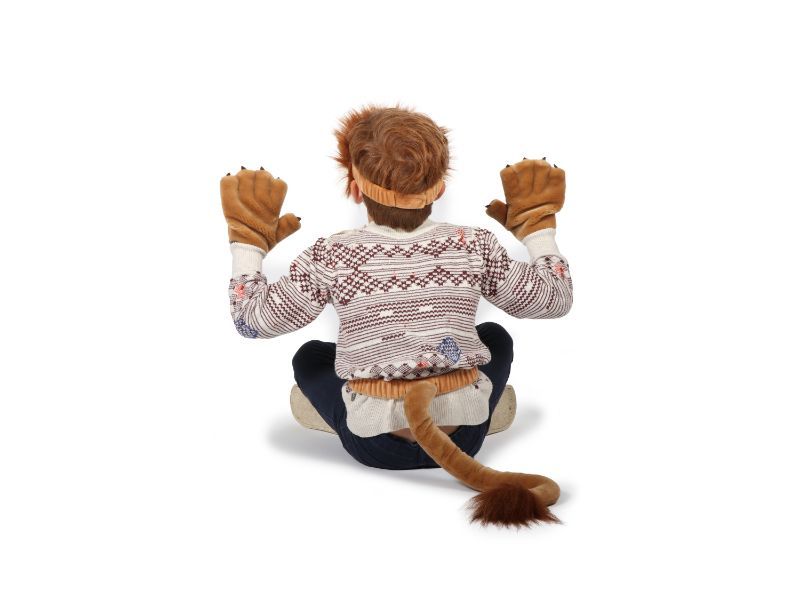 Dress-up Set Lion