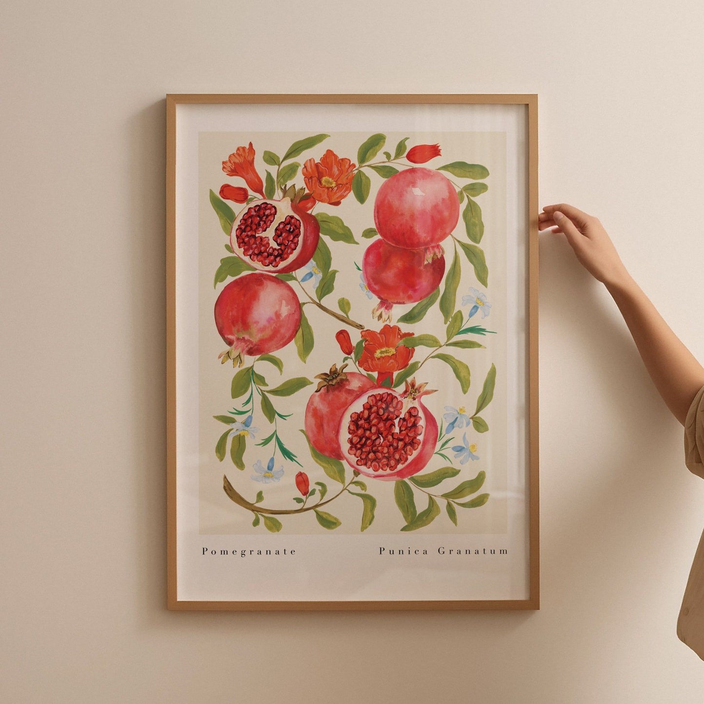 Pomegranate Art Print