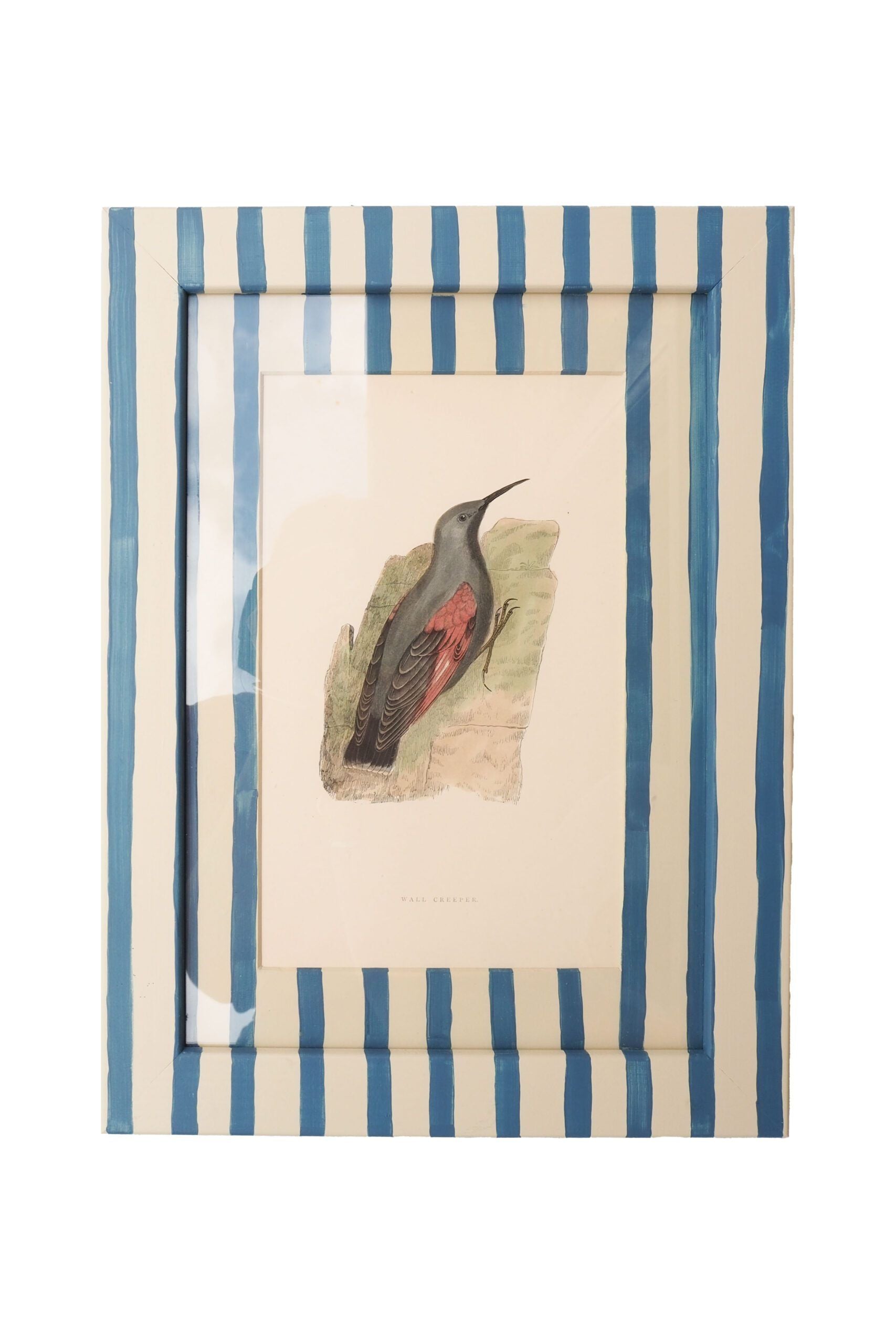 Antique Bird in Hand Painted Frame