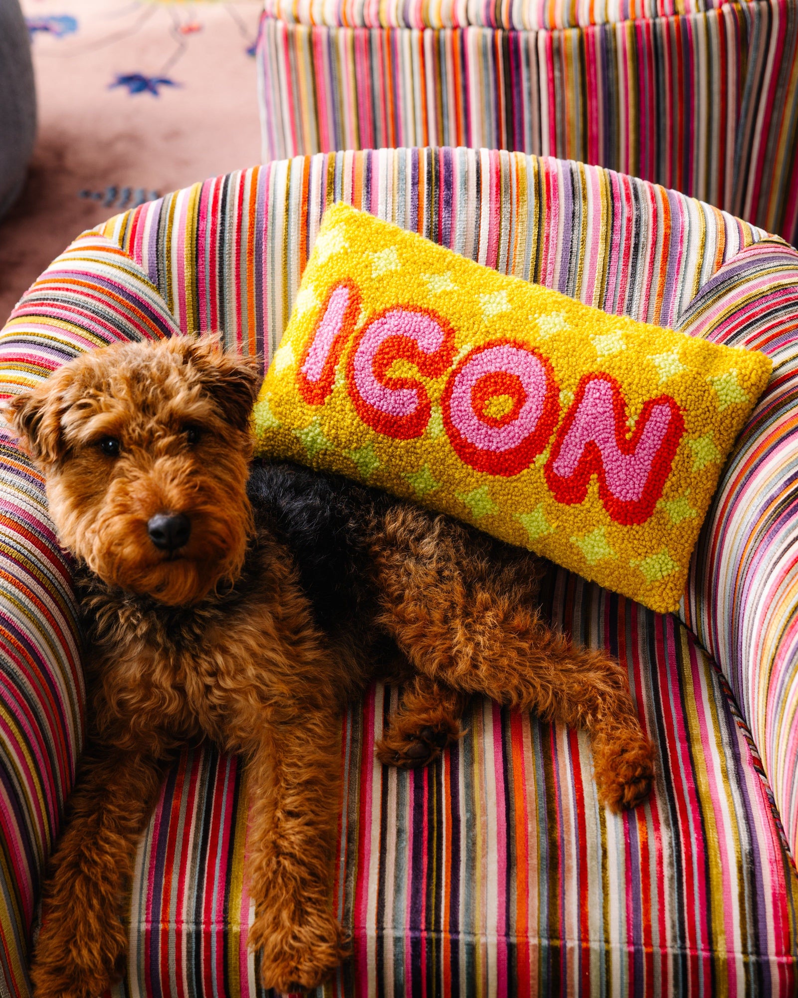 Icon Pillow