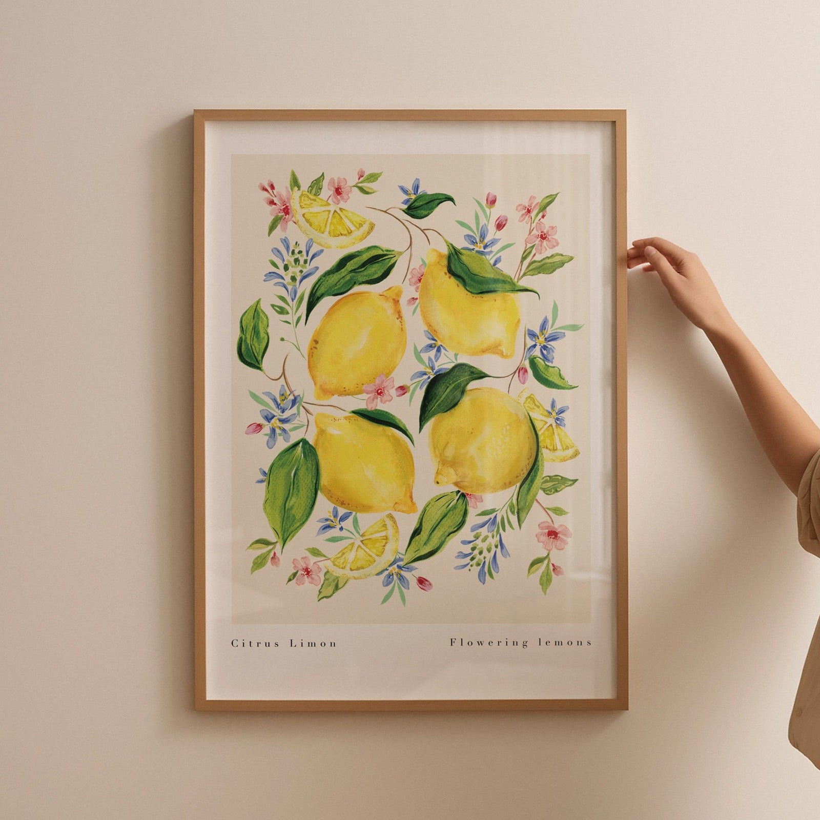 Citrus Limon Art Print