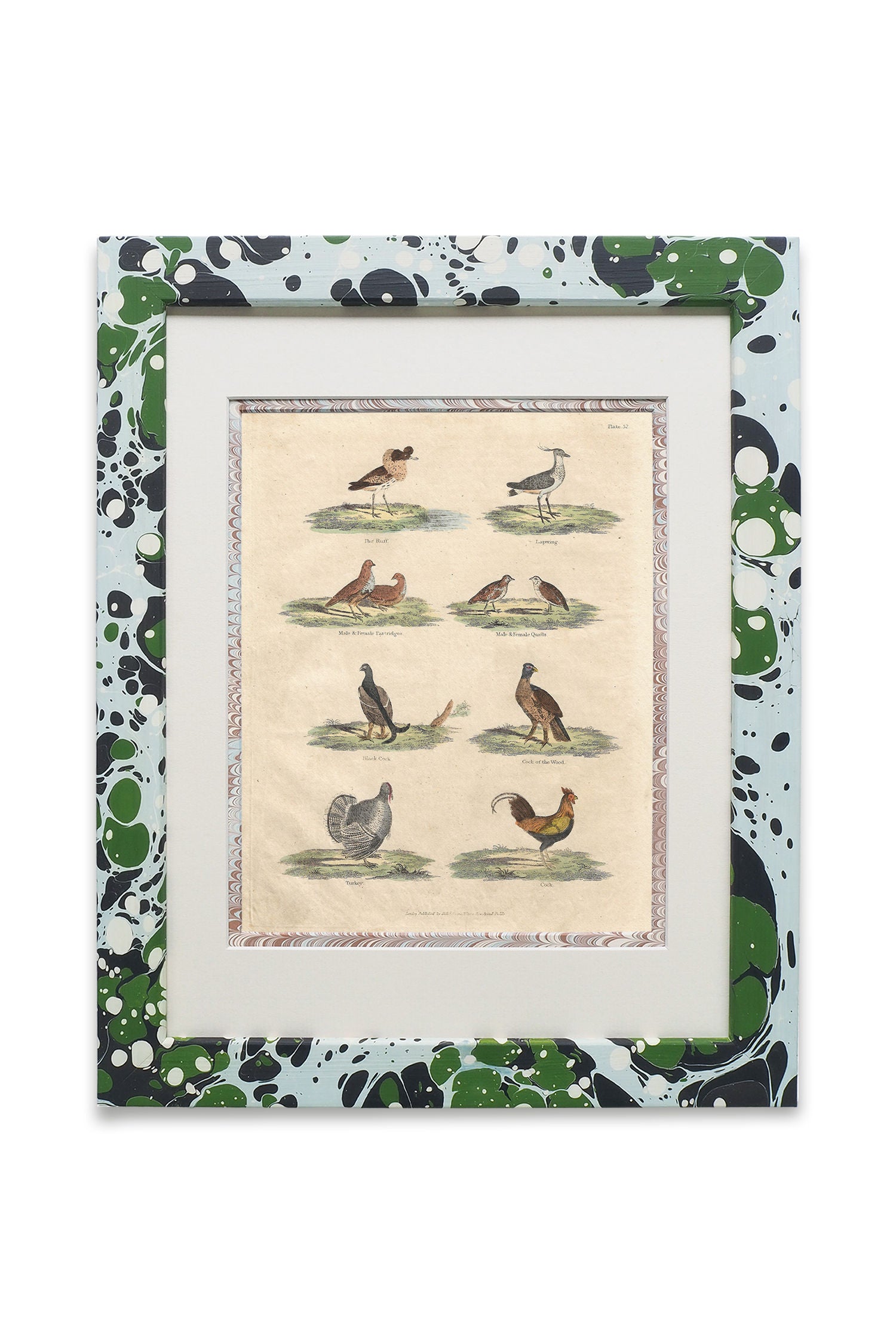 Buffon No.52 Glacier Framed Print