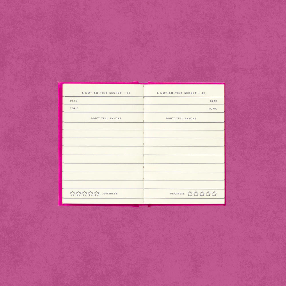 Tiny Diary For Not-So-Tiny Secrets