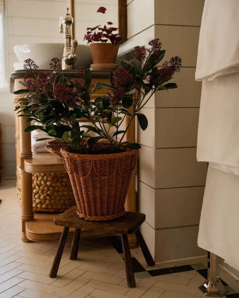 Pinet Plant Pot