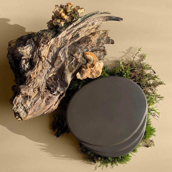 Coasters - Tobacco