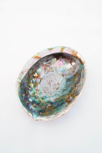 Large Vintage Shell