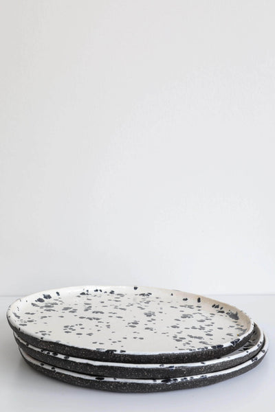 Spotted Dog Galaxy Flat Plate