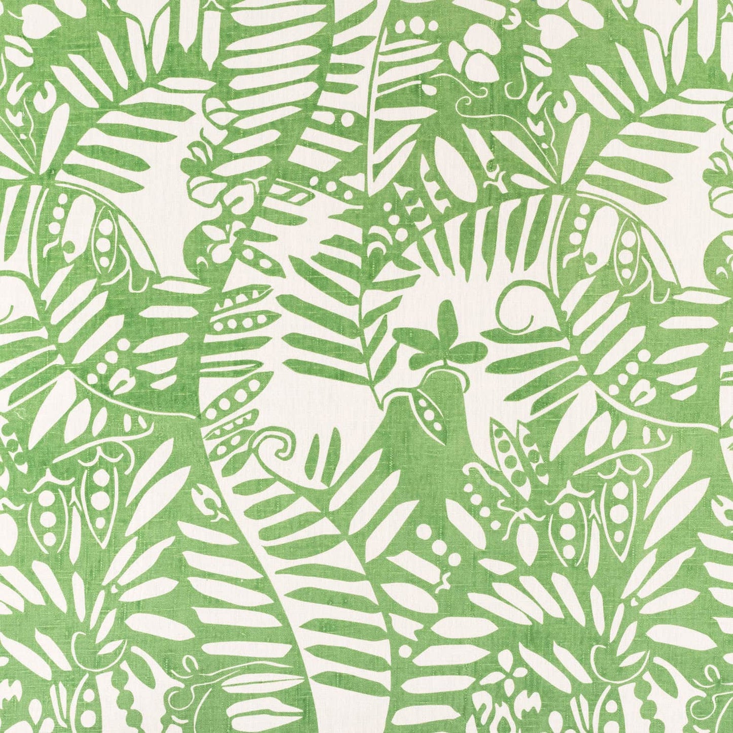 Vetch Fabric