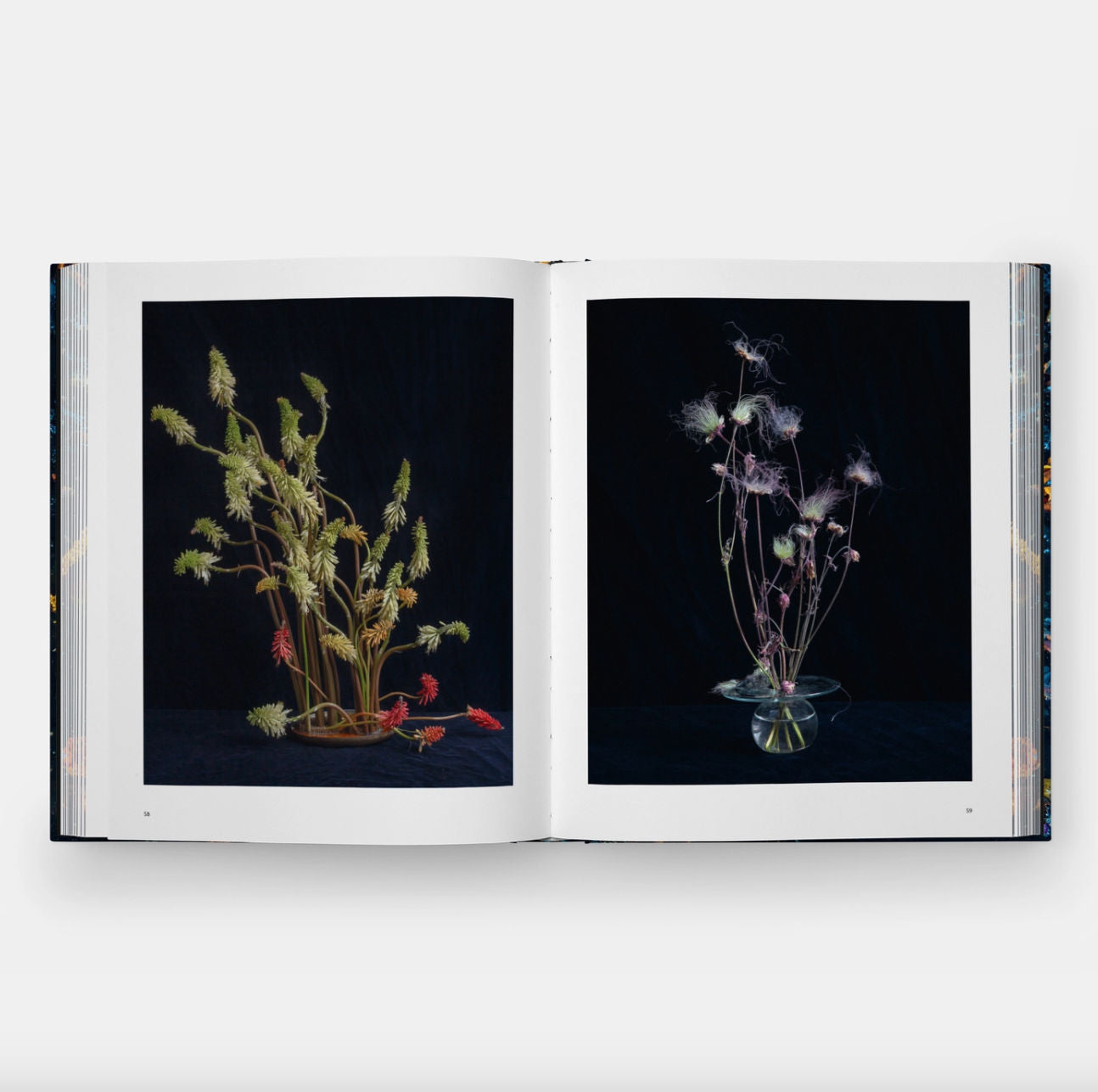 Emily Thompson Flowers