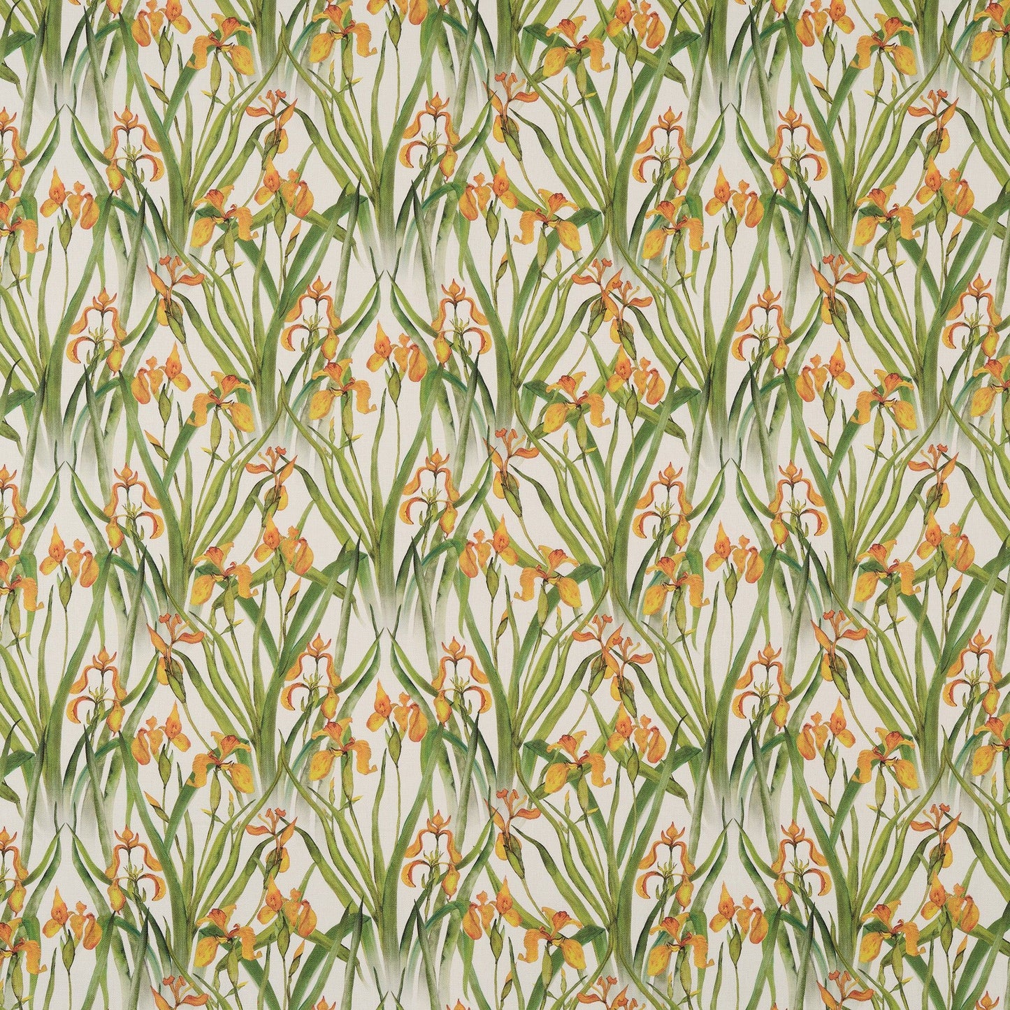 Wild Iris Small Fabric