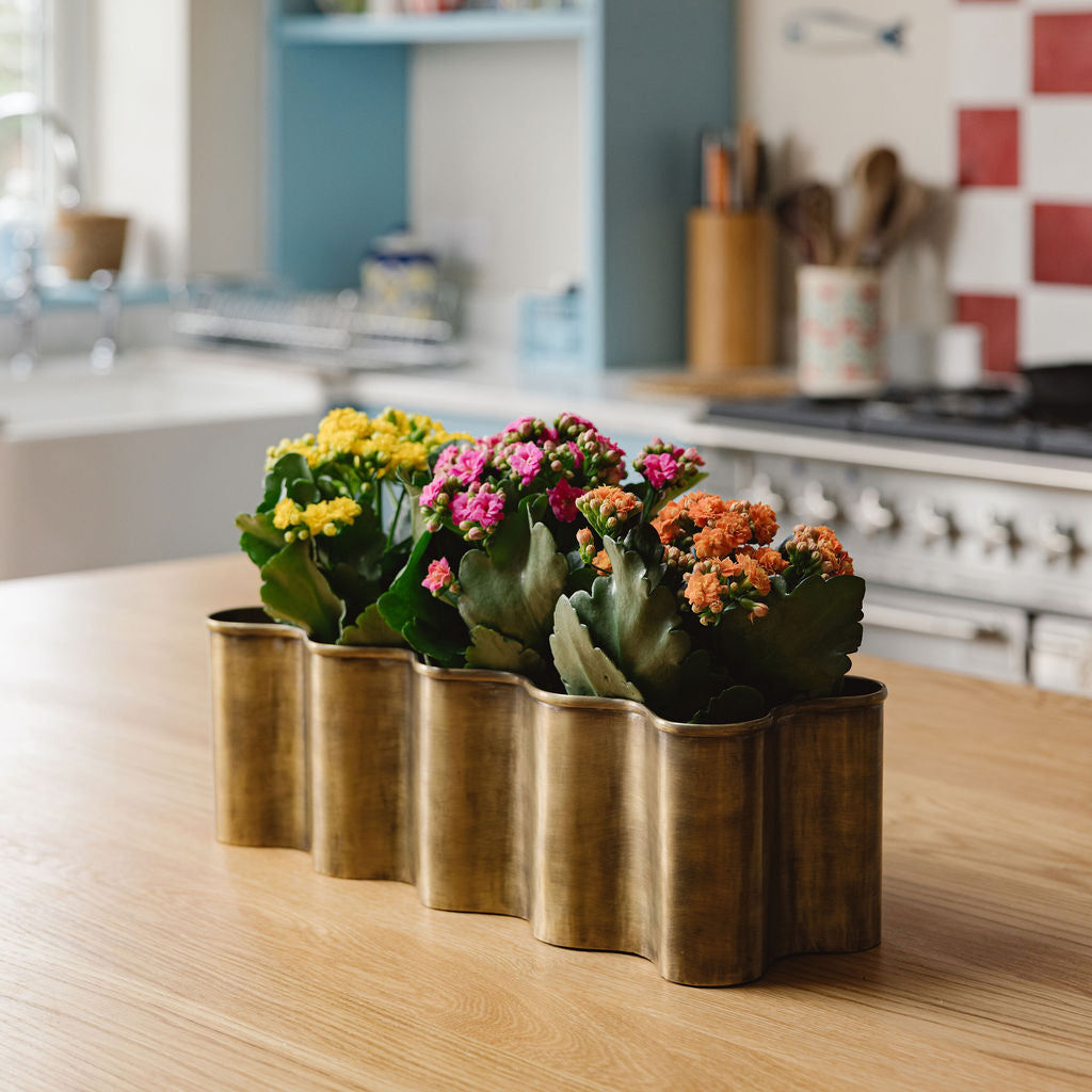 Poppy Planter & Basket, Long