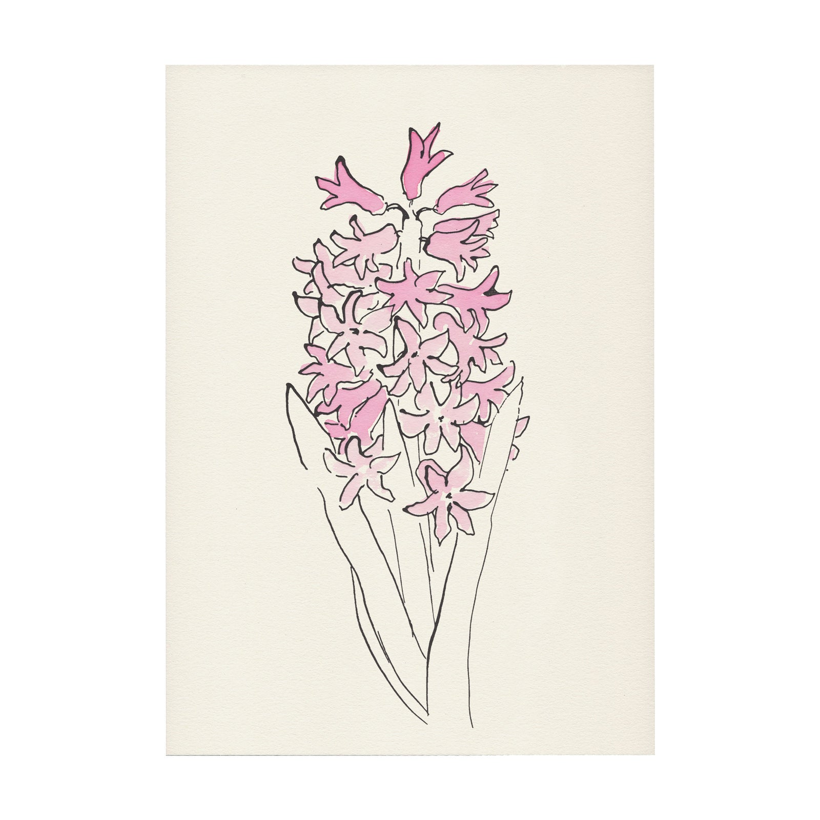 Hyacinth Print