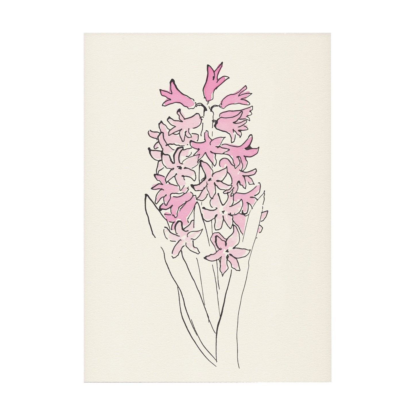 Hyacinth Print