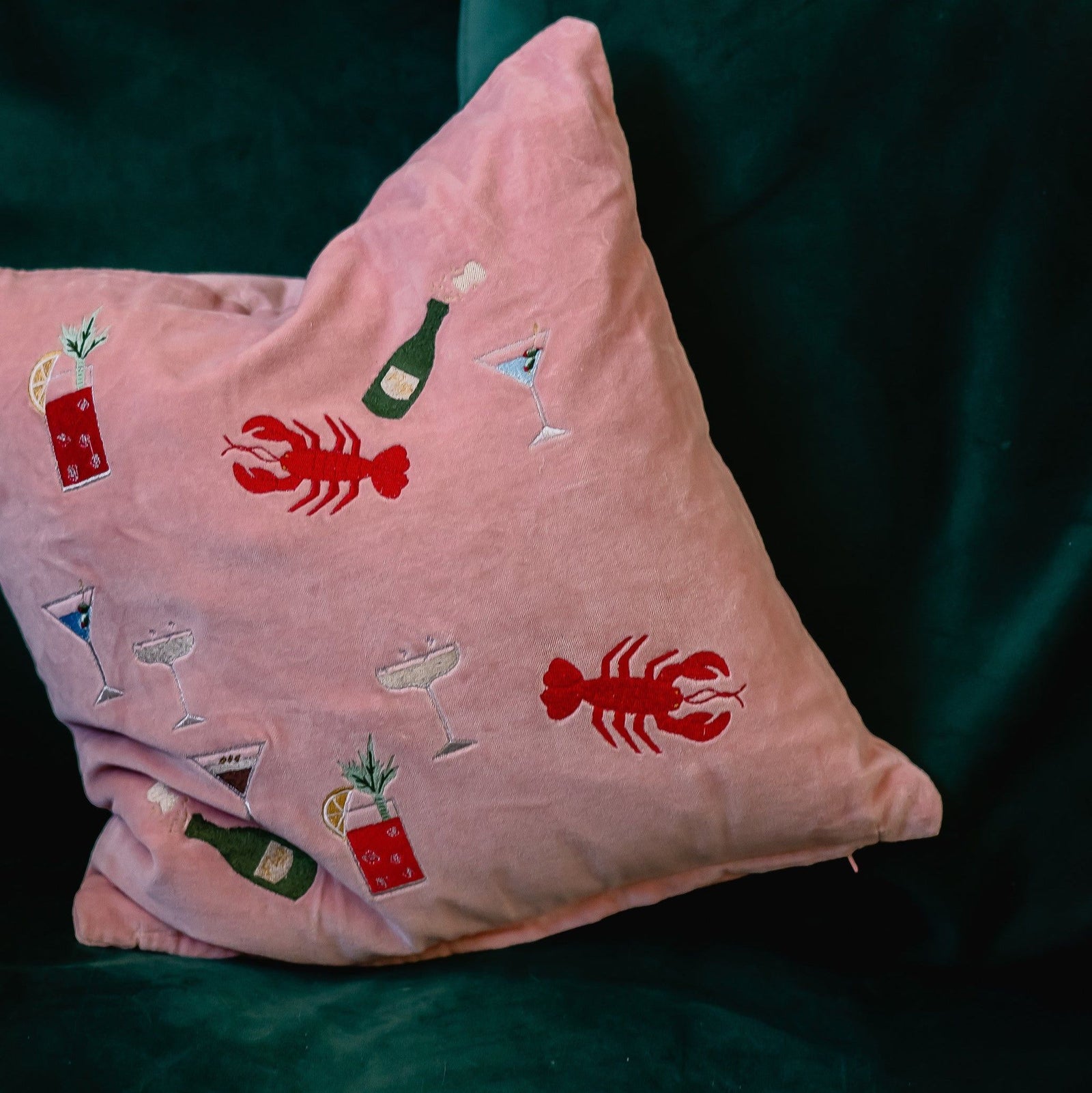 The Velvet Doodle Cushion