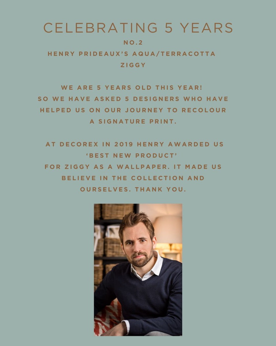Ziggy - Terracotta Aqua - Henry Prideaux 5 Year Anniversary (Fabric)