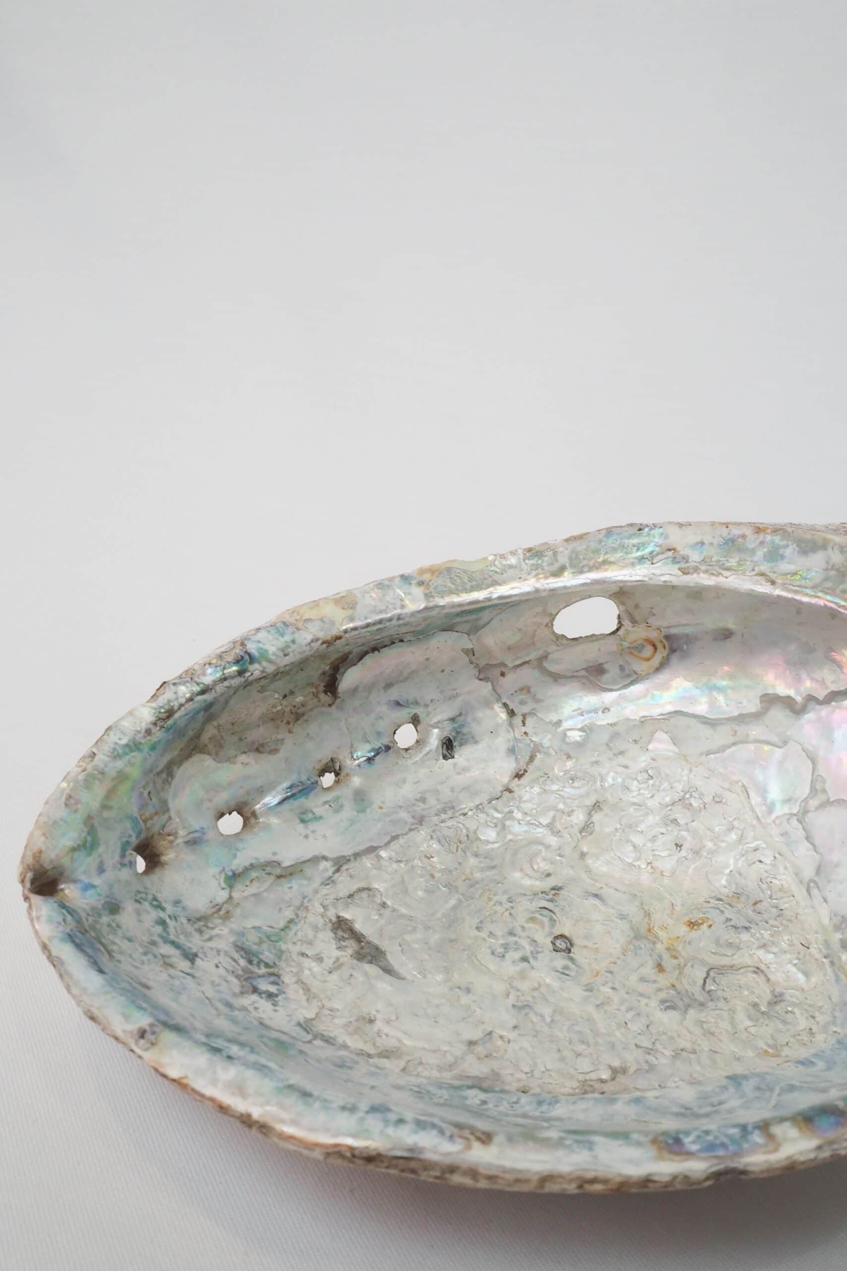 Extra Large Vintage Shell
