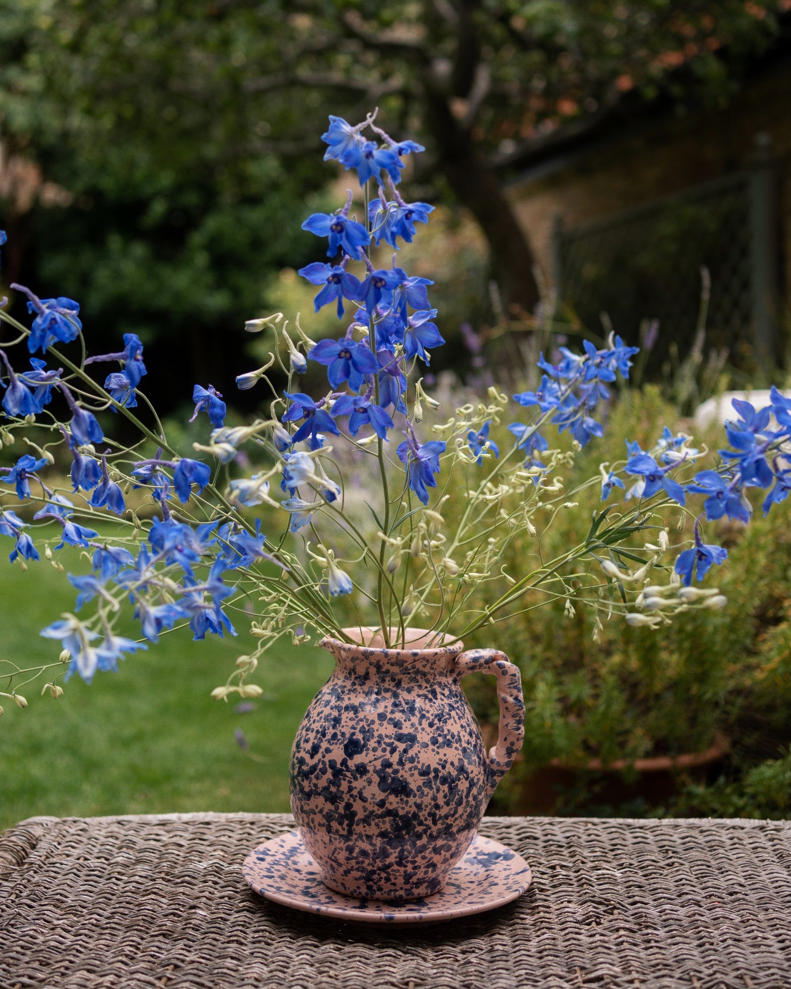 Splatter Side Plate (Set of 4)