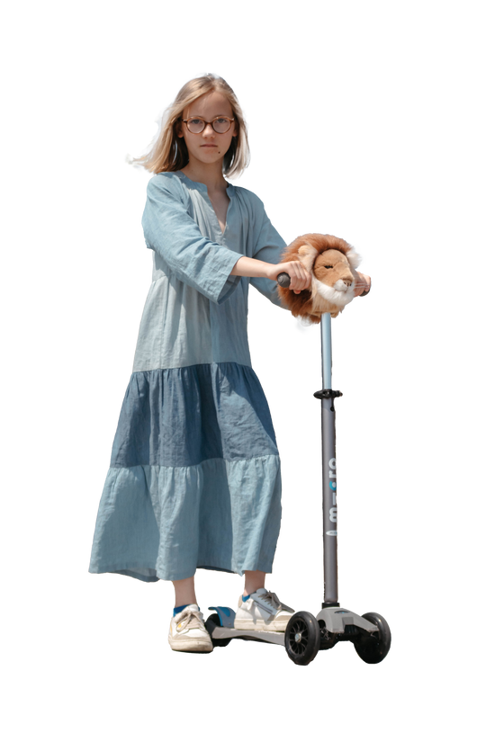 Lion Scooter Head