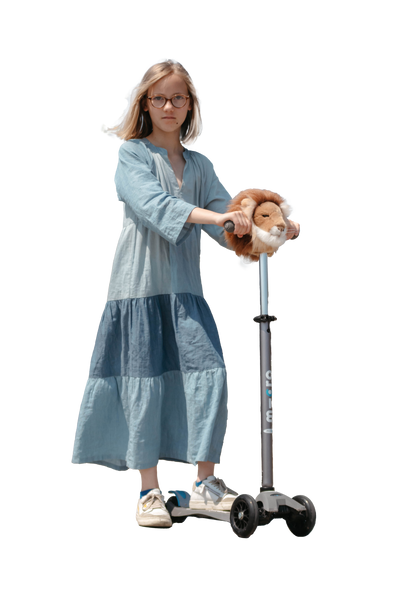 Lion Scooter Head