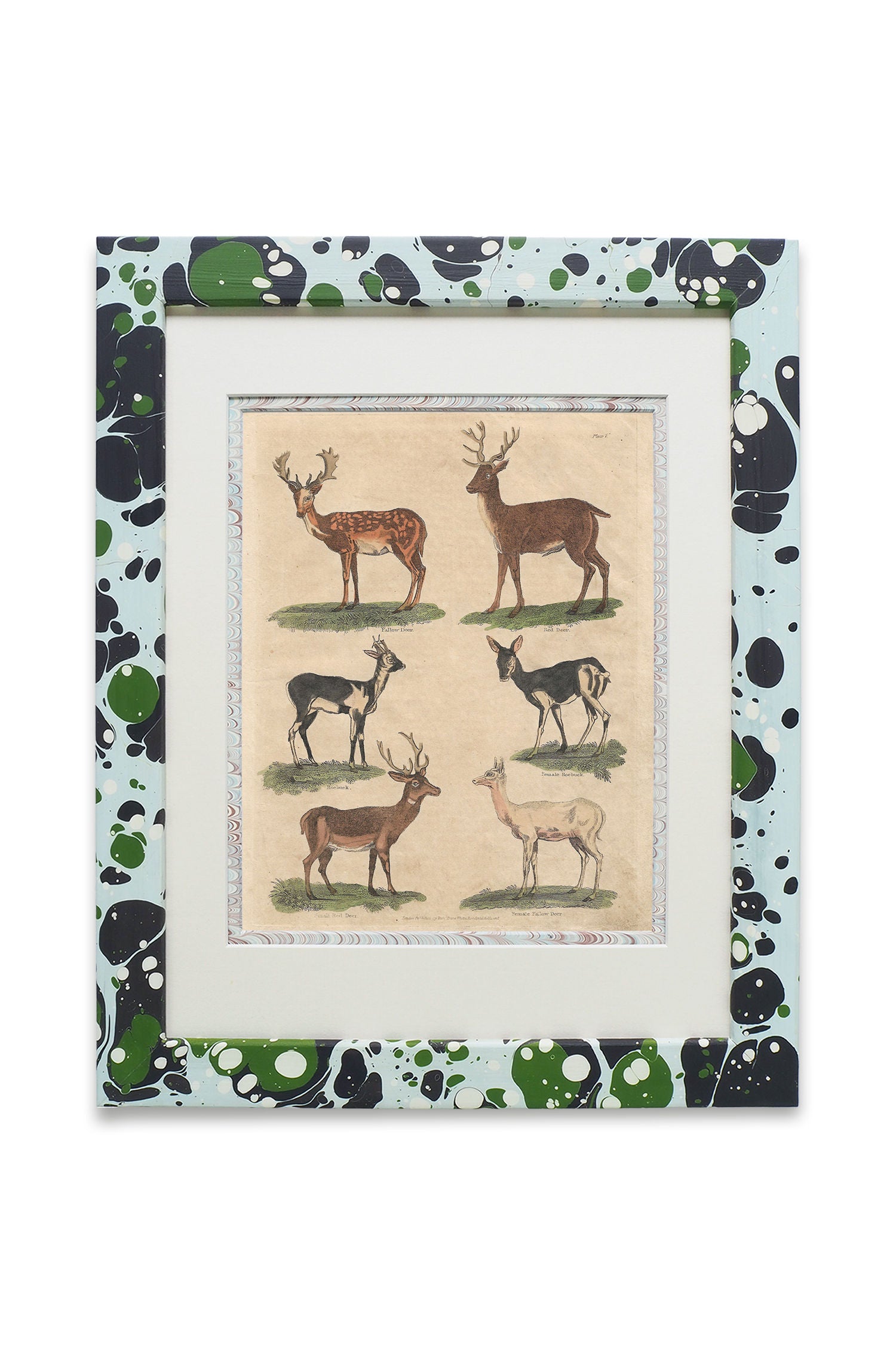 Buffon No.7 Glacier Framed Print