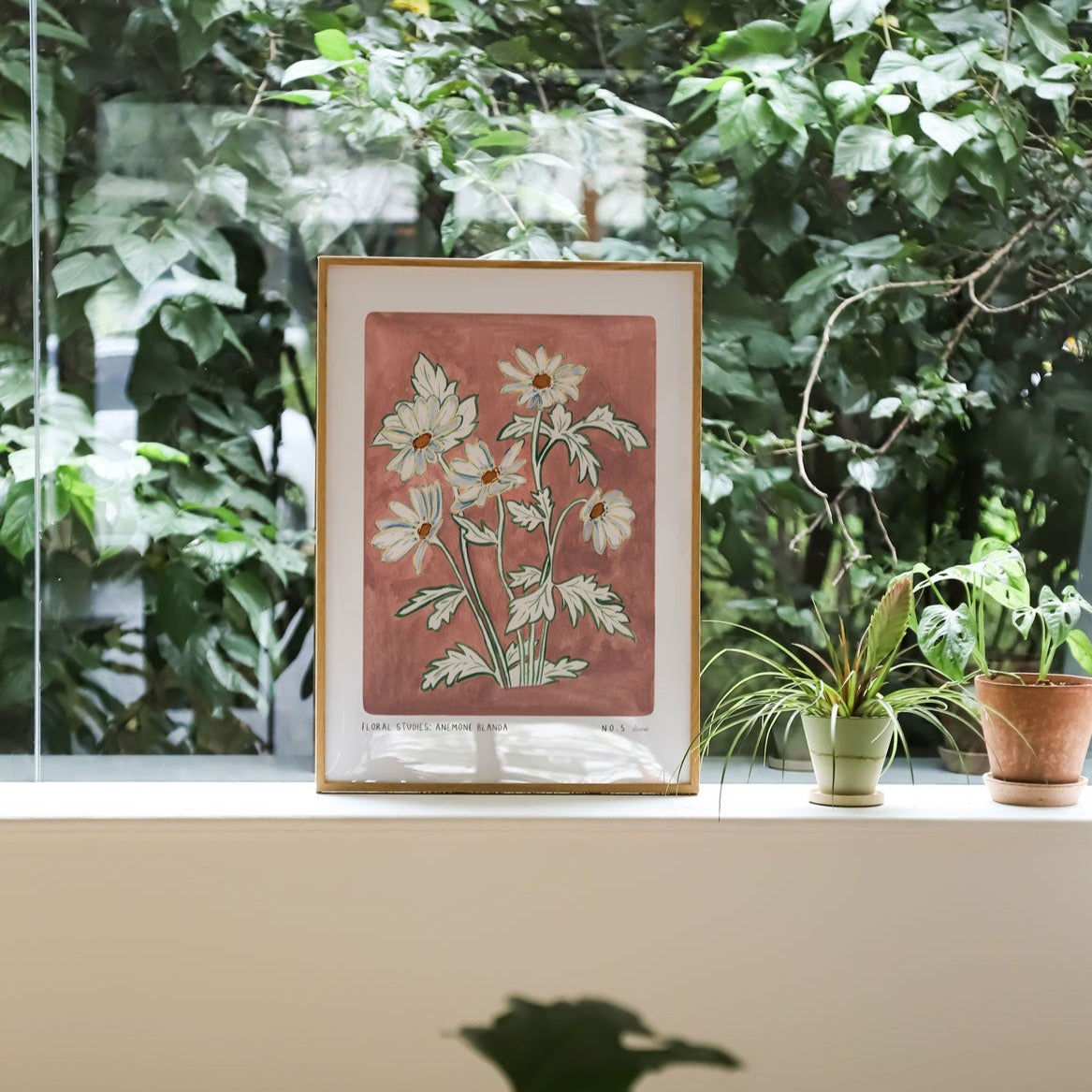 Anemone Blanda Art Print