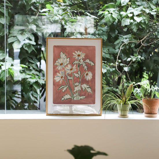 Anemone Blanda Art Print