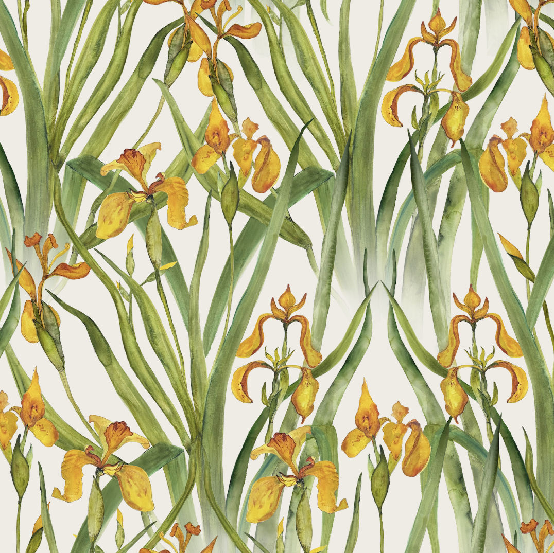 Wild Iris Small Wallpaper