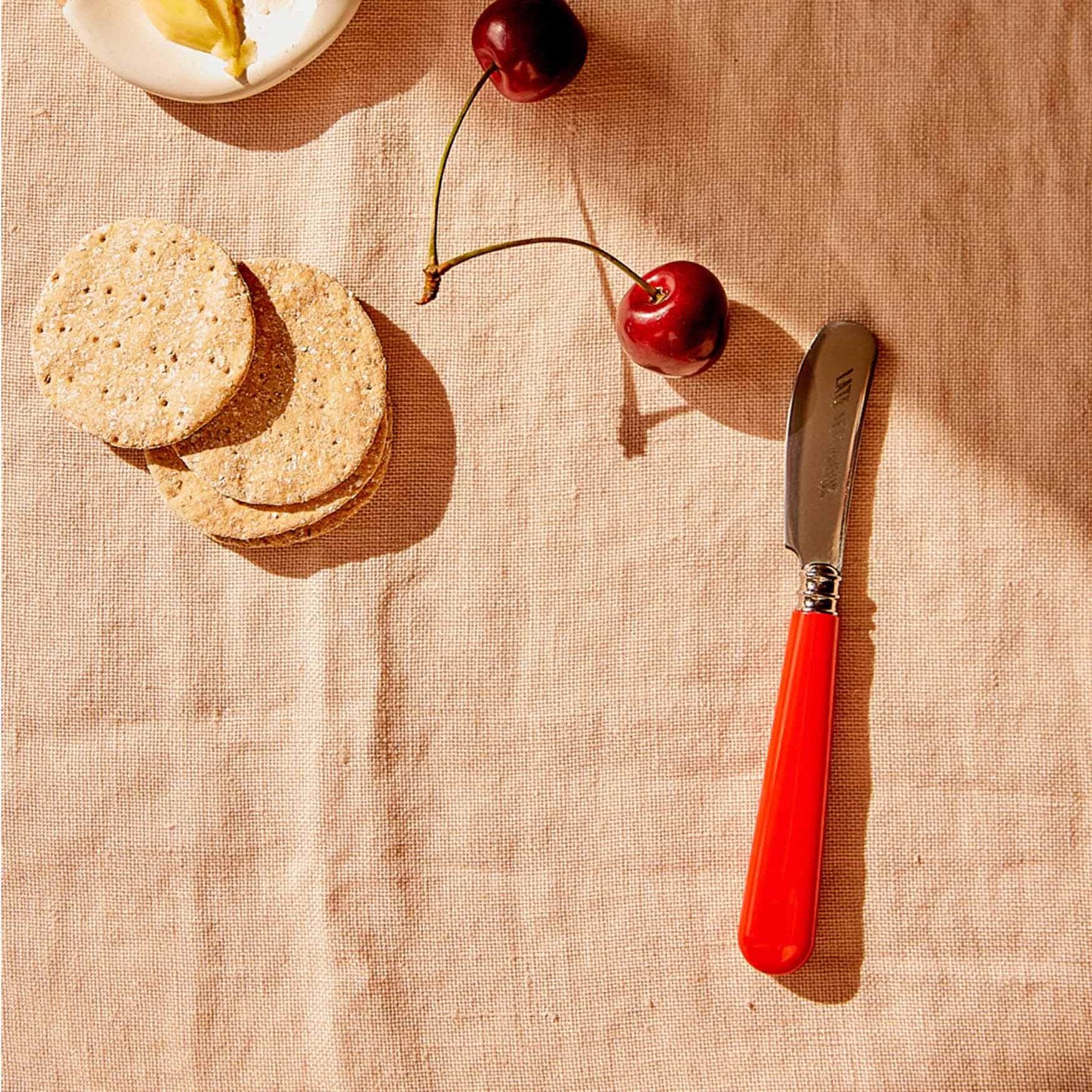 Sky Blue Butter Knife