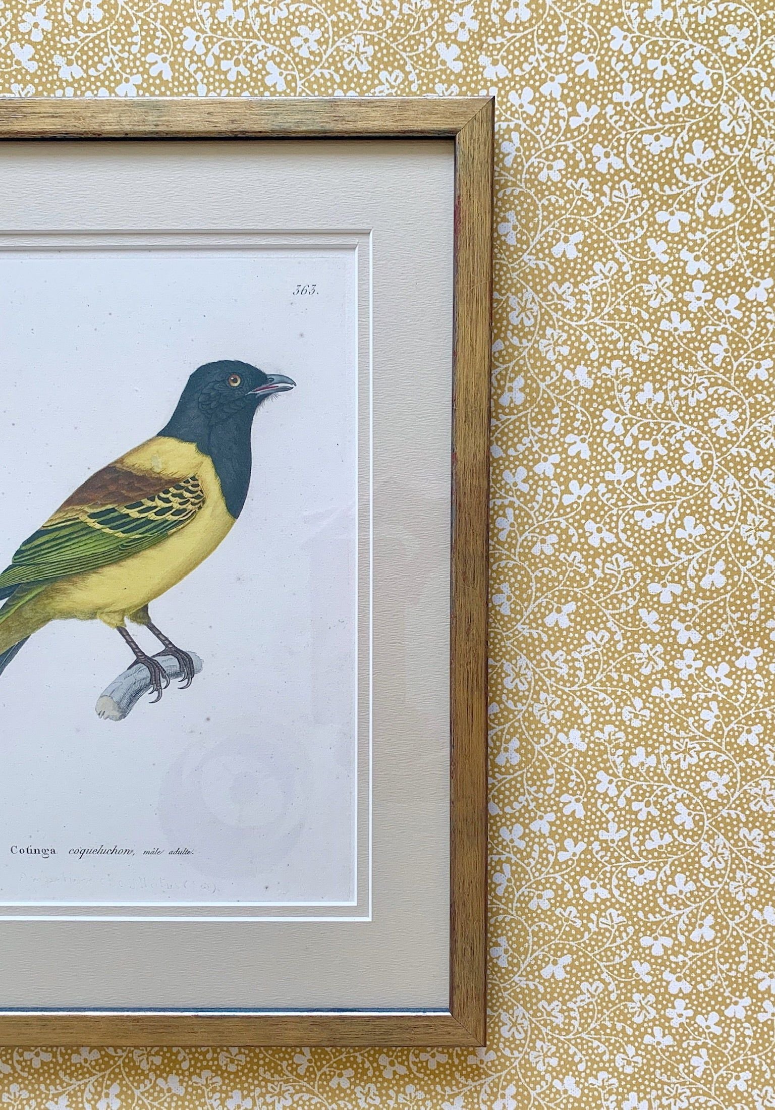 Parsley Wallpaper – JULY