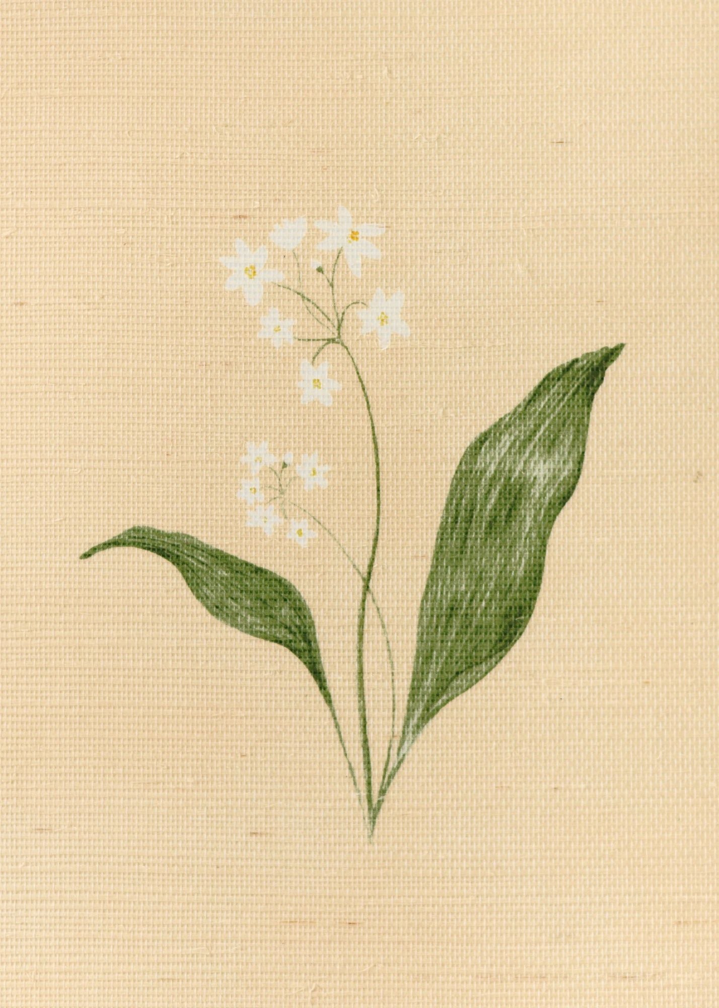 Herbarium Forest Grasscloth Wallpaper - Blush